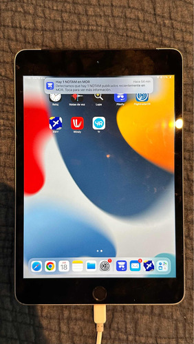 iPad 4 Mini 16gb Con 3g/gps Chip