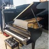 Piano De Gran Concierto Steinway & Sons Modelo D
