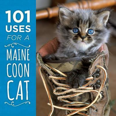 Libro 101 Uses For A Maine Coon Cat - Down East Books
