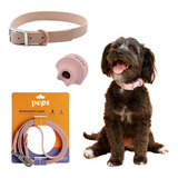 Kit Perro Peps Collar Correa Juguete Giratorio Mascotas