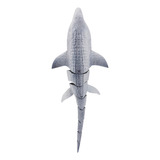 Piscina Exterior Rc Mosasaurus Con Control Remoto De 2,4 G R