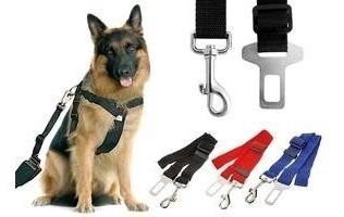 Cinturón De Seguridad Para Perro En El Auto, Oferta Mascotas