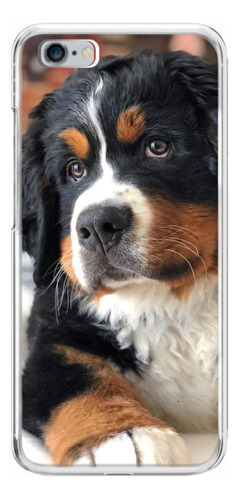 Capa Capinha Personalizada Animais Pet Cachorro Bernese