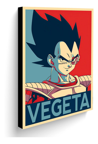 Cuadro Decorativo 50x30 Cms Vegeta 5