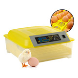 Incubadora 48 Huevos Pollos Y Aves Con Giro Automatico