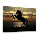 Quadro Decorativo Tela Sala Quarto Cavalo Negro Pôr Do Sol