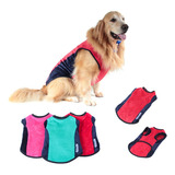 Roupa My Dream Color Pet Outono Inverno Cachorro - Gigante