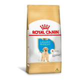 Ração Royal Canin Labrador Puppy 12kg