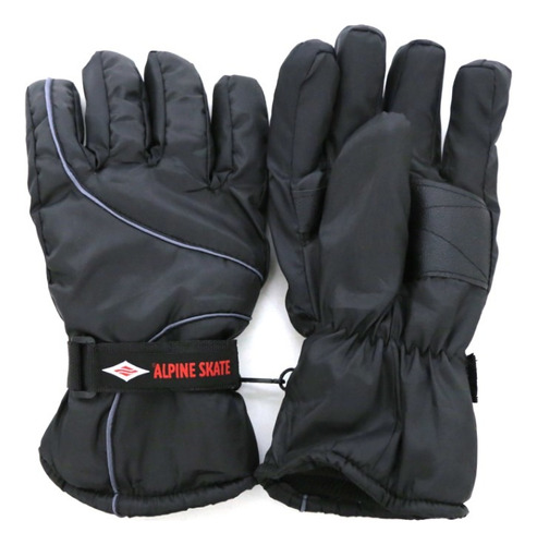 Guantes De Invierno Moto Alpine Skate C/ Ajuste Reforzado