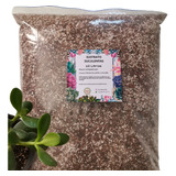 Sustrato Suculentas Y Cactus Coco-compost-perlita-vermic 10l