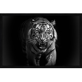Quadro Decorativo Animais 90x60 Selvagem Moldura Virtual Zoo Cor Img03 Armação Preto