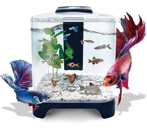 Acuario Mini De 6 Litros Pecera Betta 