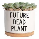 Future Dead Plant | Maceta De Cerámica Suculentas | Co...