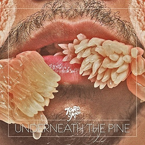 Lp Underneath The Pine - Toro Y Moi