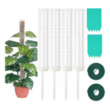 Kit 4 Tutor De Musgo Para Plantas Trepadoras Palo De Tótem