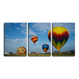 Placa Decorativa 80x140 Balões Coloridos Na Grama
