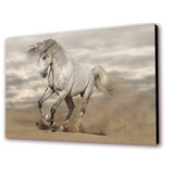 Cuadro 50x30cms Decorativo Caballo 5!!!