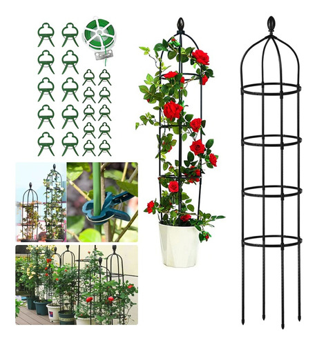 Soporte Tutor Plantas Trepadoras Enredaderas Rosales 180cm