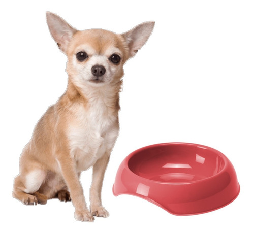 Plato Comedero Bebedero Plastico Perro Gato Mascotas Bowl 