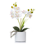 Jusdreen Bonsi De Flores Artificiales Con Jarrn, Arreglo Flo