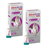 2 Bravecto Plus Gatos Transdermal De 6,25 A 12,5 Kg - 500 Mg