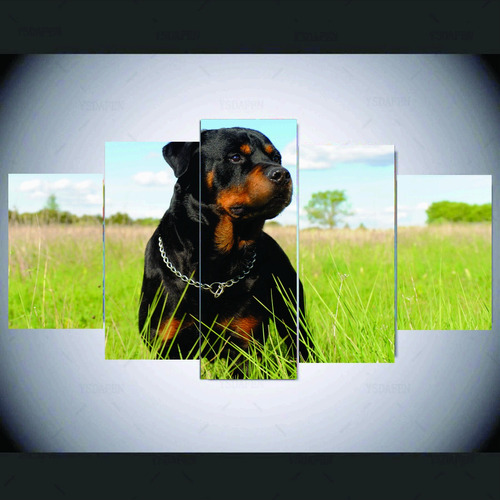 Quadro Cachorro Rottweiler Moderno 5 Peças Mosaico Mdf6mm