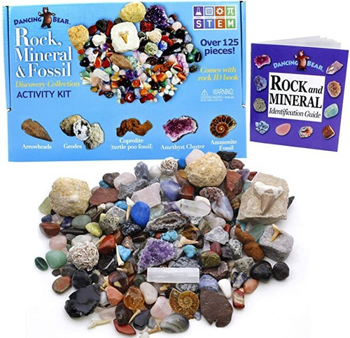 Roca, Minerales Y Fósiles Colección Actividad Kit (más De 12