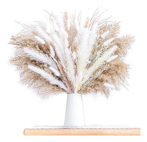 Pampas Dominada Por El Blanco Plantas Decorativas Flores 42p