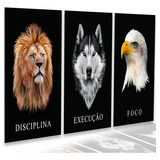 Quadros Decorativos Sala Leão Disciplina Motivacional 183x80 Cor Borda Cor Da Armação Infinita