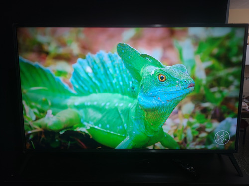 Tv LG 49 Pulgadas 4 K Control Magic