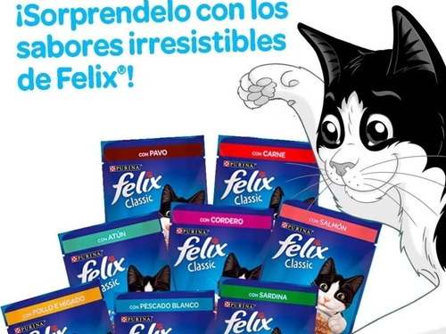 Felix Pouch Gato Adulto X 16 Mi