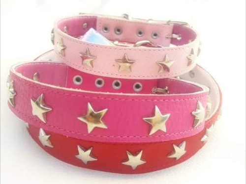 Collar Para Perro Chico Con Estrellas 