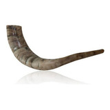 Shofar De Cuerno De Carnero Pulido Con Curva Ancha Y Colores