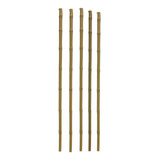 Tutor De Bambu Natural - 5 Peças  180 Cm Cercas Decorações