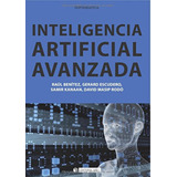 Inteligencia Artificial Avanzada: 272 (manuales) / Raúl Bení
