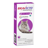 Bravecto Transdermal Gatos De 6,25 A 12,5kg Antipulgas 