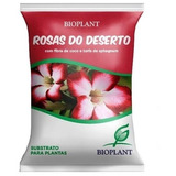 Substrato Rosa Do Deserto Bioplant 14kg Mudas Casca De Pinus
