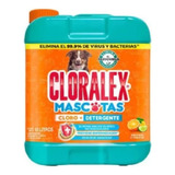 Limpiador Líquido Cloralex Mascotas 10 L Msi