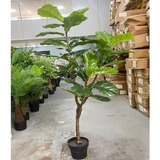 Arvore Artificial Planta Ficus Lyrata Real Toque 1.70 Metros