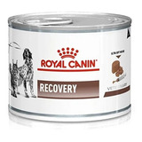 Royal Canin Lata Recovery X 195 Grs Pack Por 12 Unidades