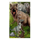 Medidor Infantil Estatura Dinosaurios - 1mx60cm