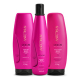 Kit Aneethum Color System Shampoo + Mascara + Finalizador . 