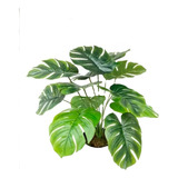 Planta Artificial Monstera + Maceta Costilla Tropic 55 Cm