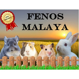 Feno Tipo A Para Coelhos, Hamster, Porquinho Da Índia (500g)