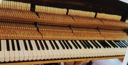 Piano Julius Blüthner, Leipzig, Classic No. 6 - Impecable