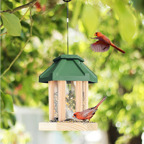 Kit De Bricolaje Para Comedero De Pájaros Estilo Cenador Par