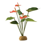 Planta Anthurium Bush Exo Terra Adorno Terrario Reptil