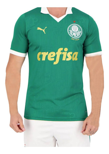 Camiseta Palmeiras Home Jersey Torcedor 2024 Super Barata 