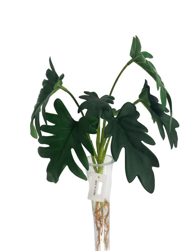 Planta Costilla De Adan- Monstera Artificial 37 Cm Aprox.