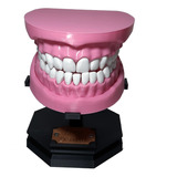 Arco Dental - Para Estudio Odontológico - Impresión 3d